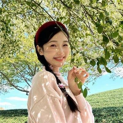 大清后宫