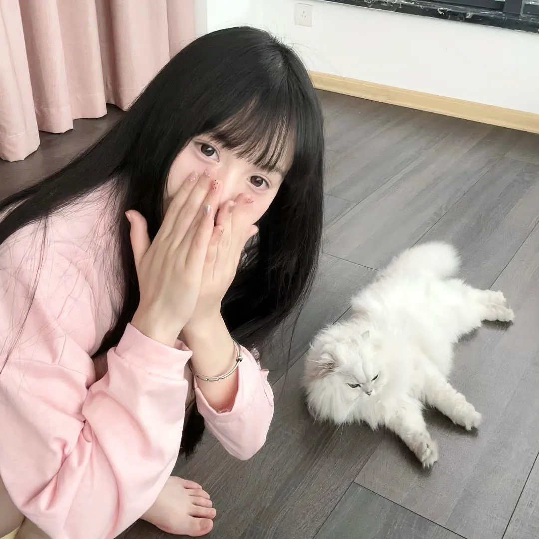 灵书妙探第七季
